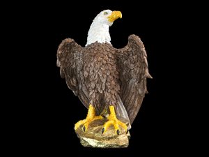 Mr. Eagle