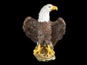 Mr. Eagle