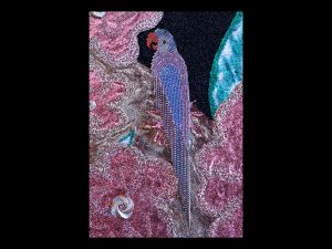 Pretty Bird