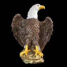 Mr. Eagle Mr. Eagle