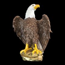 Mr. Eagle Mr. Eagle