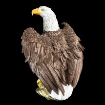 Mr. Eagle Mr. Eagle