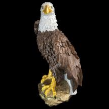 Mr. Eagle Mr. Eagle