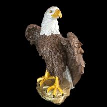 Mr. Eagle Mr. Eagle