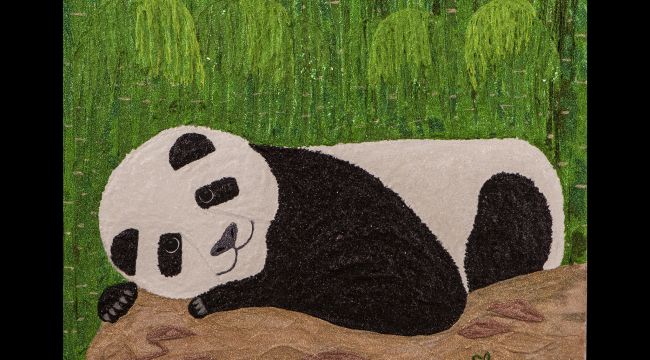 The Panda The Panda