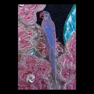 Pretty Bird Pretty Bird